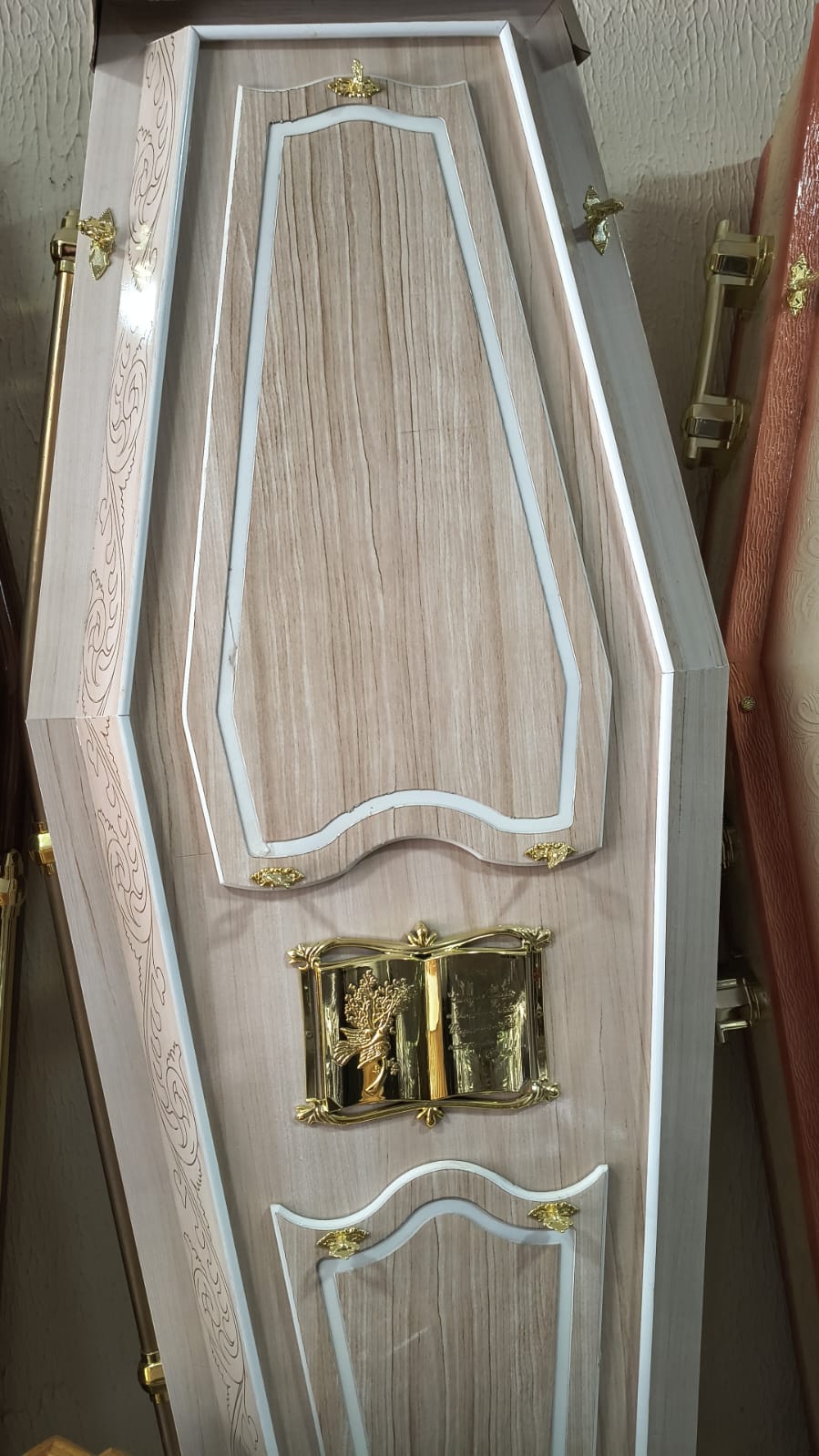 WhatsApp Image 2026-02-12 at 14.46.52