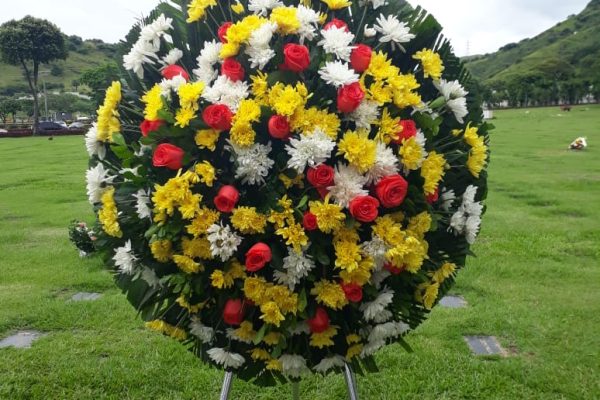 PHOTO-2021-02-08-17-39-19