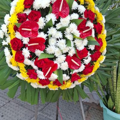 WhatsApp Image 2026-02-12 at 13.07.26 (1)