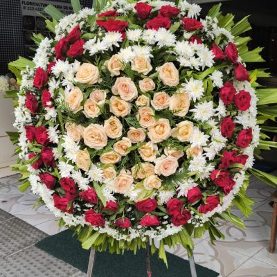 WhatsApp Image 2026-02-12 at 13.07.26