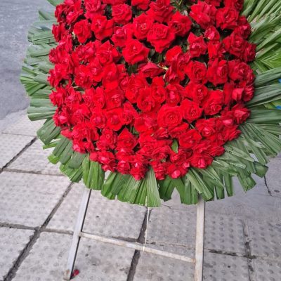 WhatsApp Image 2026-02-12 at 13.07.27 (1)