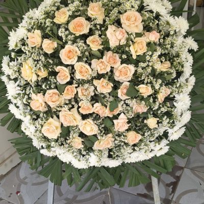 WhatsApp Image 2026-02-12 at 13.07.27 (2)