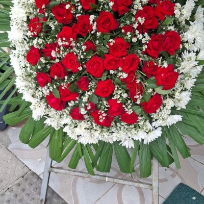 WhatsApp Image 2026-02-12 at 13.07.27 (3)