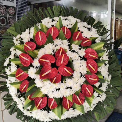 WhatsApp Image 2026-02-12 at 13.07.27