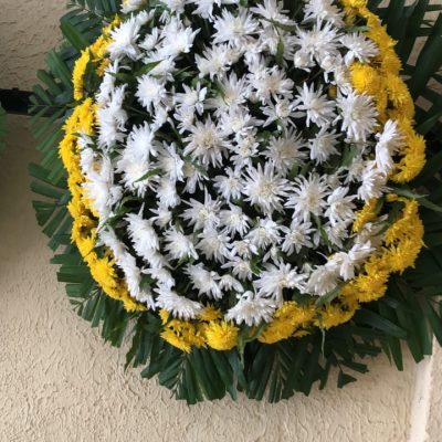 WhatsApp Image 2026-02-12 at 13.09.01 (1)