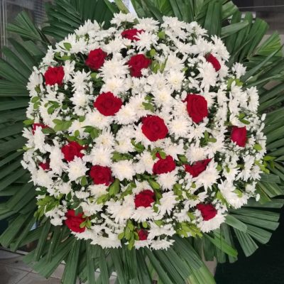 WhatsApp Image 2026-02-12 at 13.09.01 (2)