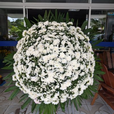 WhatsApp Image 2026-02-12 at 13.09.01