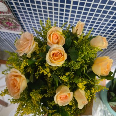 WhatsApp Image 2026-02-13 at 09.01.15